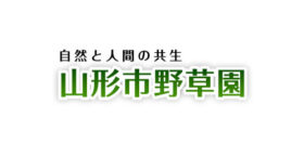 令和6年度 野草園写真コンテスト入賞作品展示